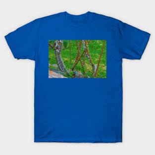 Barren bush T-Shirt